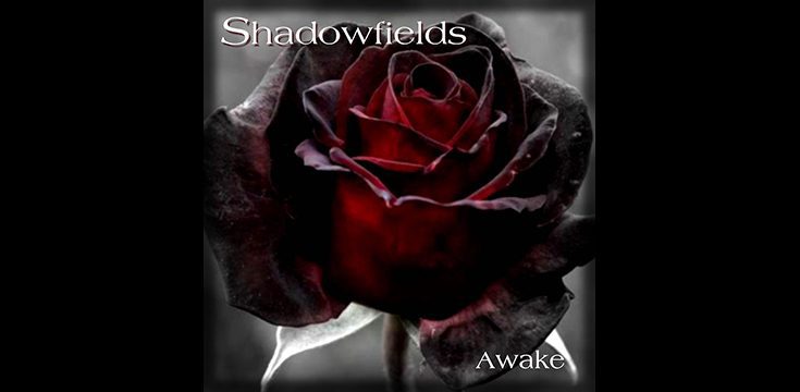 Music Review Shadowfields - Awake