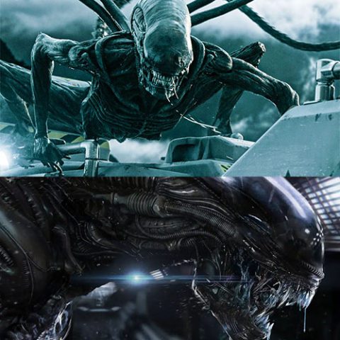 A Fan's Guide - How to Watch the Alien Movies in Order