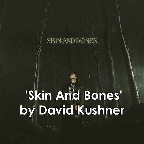 The Deeper Meaning of 'Skin And Bones' Lyrics by David Kushner