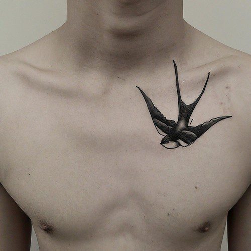 40 Swallow Tattoo Ideas & Meaning